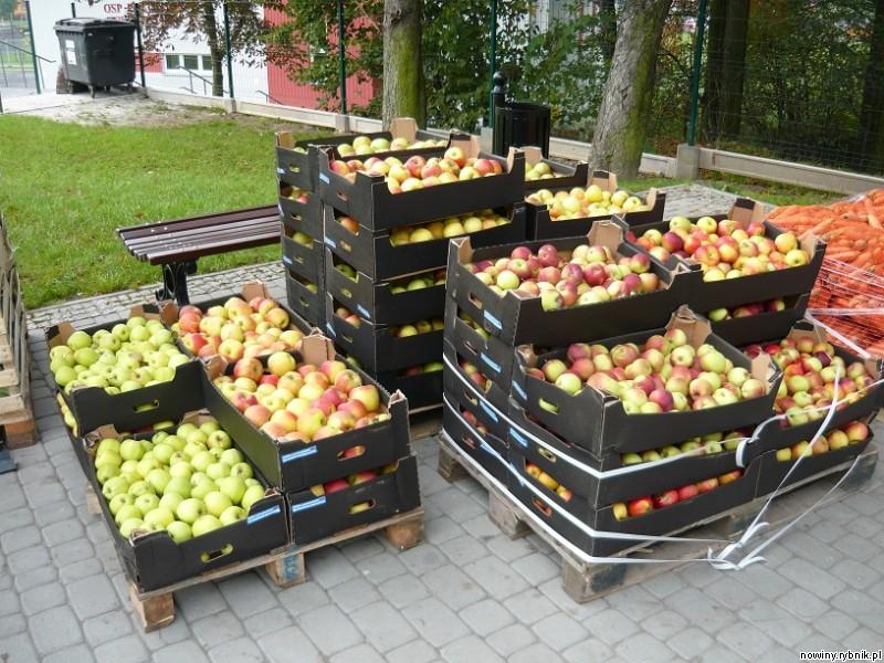 Jabłka od polskich sadowników trafiły do potrzebujących / UG Mszana