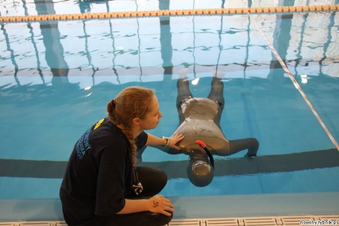 Freediving można uprawiać również na basenach / Materiały prasowe