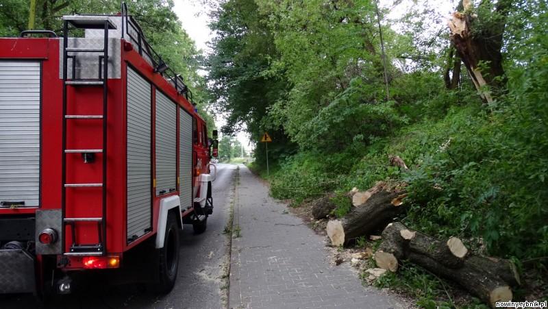 Strażacy usuwali połamane drzewo na ulicy Sportowej w Niewiadomiu / Iza Salamon