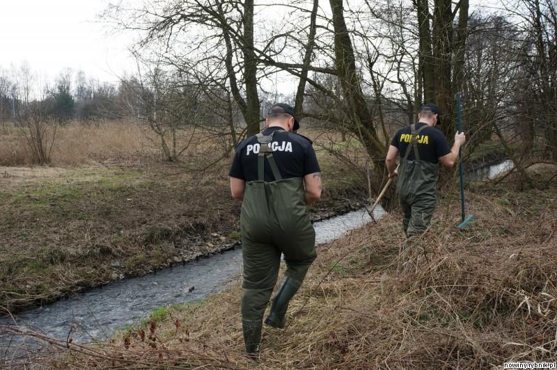 Policjanci nie znaleźli górnej części ciała / Policja Wodzisław
