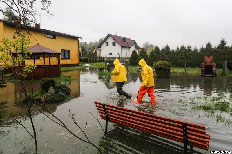Rybniccy strażacy walczą z wodą / Dominik Gajda