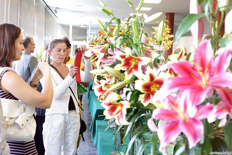 Wystawa lilii co roku przyciąga tysiące osb / Dominik Gajda