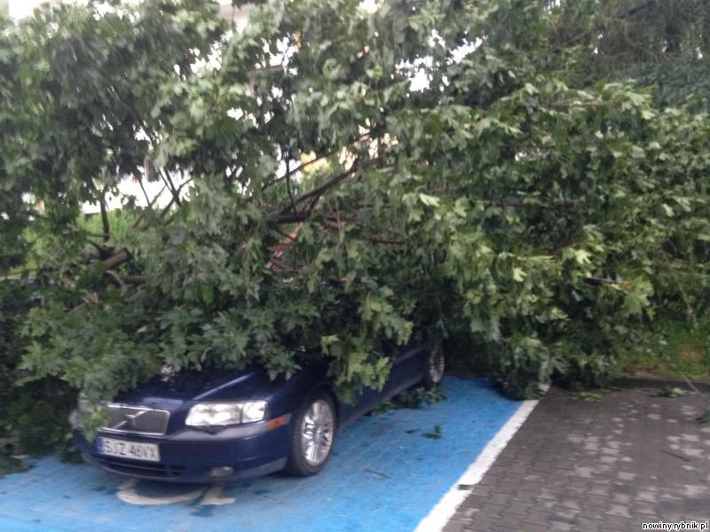 Przewrócone drzewa uszkodziły w Jastrzębiu wiele samochodów / http://straz.jastrzebie.pl/
