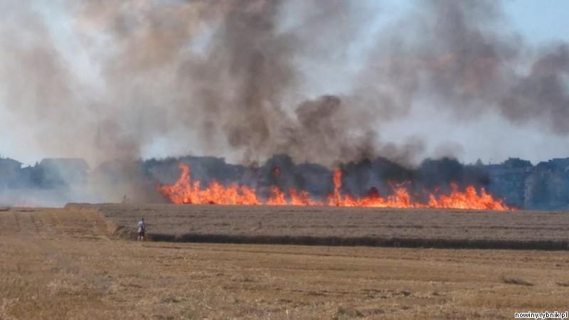 Niestety spłonęły 4 hektary pszenicy! / http://straz.jastrzebie.pl/