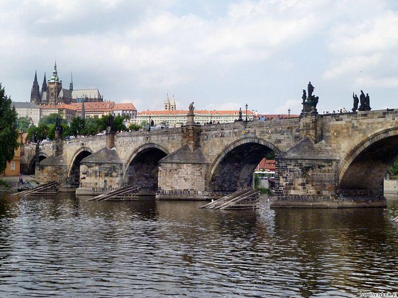 Znany aktor spadł z Mostu Karola w Pradze / Wikipedia