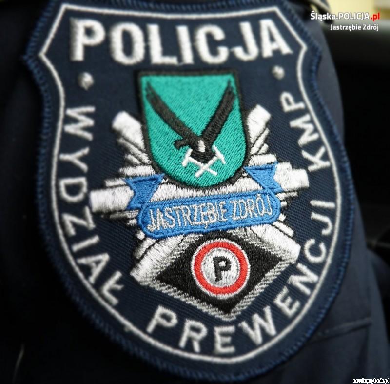 Policjanci obezwładnili furiata i umieścili w areszcie / Policja Jastrzębie