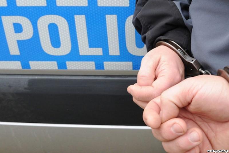 Śledczy postawili zarzuty sześciu osobom, jedną z nich jest mieszkaniec Czerwionki-Leszczyn / Policja