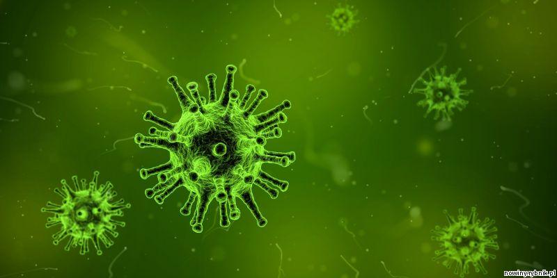 Potwierdzono już 5 zakażeń koronawirusem w wojewdztwie śląskim / pixabay