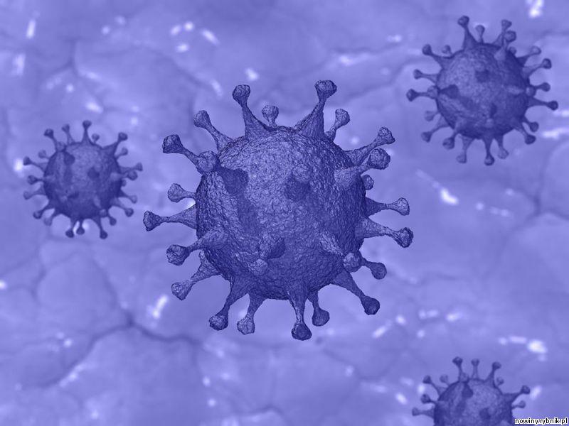 Na Śląsku zanotowano dziewięć nowych przypadkw koronawirusa / Pixabay