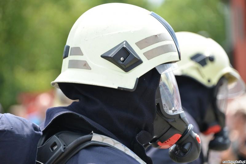 Strażacy również na pierwszej linii walki z koronawirusem / Pixabay