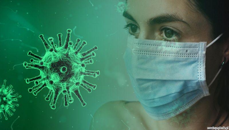 Rośnie liczba osb zakażonych koronawirusem an Śląsku / PIxabay