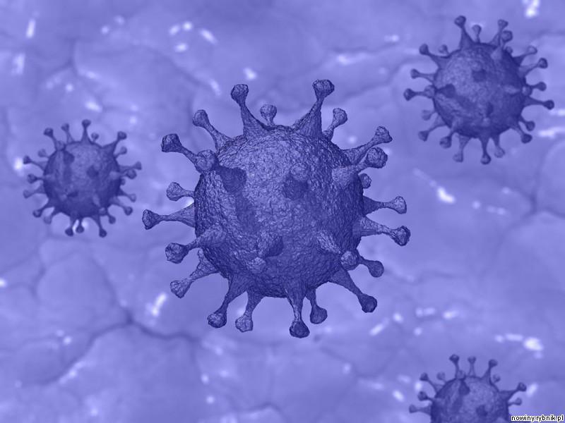 Niestety, zmarło kolejnych 26 osób zakażonych koronawirusem / Pixabay