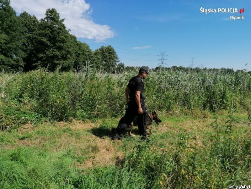 Ciało starszego pana znaleziono w lesie na terenie Lysek / Policja Rybnik